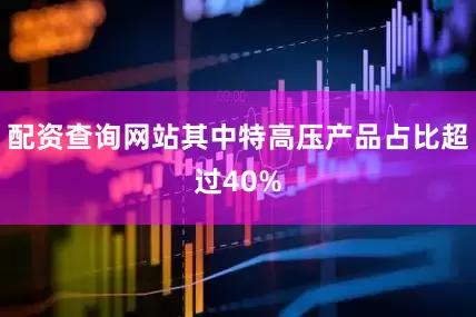 配资查询网站其中特高压产品占比超过40%