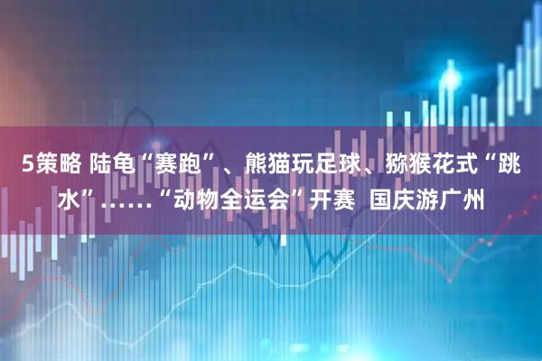 5策略 陆龟“赛跑”、熊猫玩足球、猕猴花式“跳水”……“动物全运会”开赛  国庆游广州