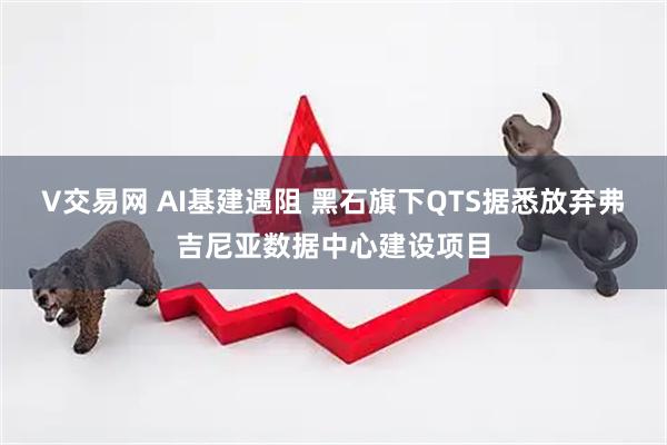 V交易网 AI基建遇阻 黑石旗下QTS据悉放弃弗吉尼亚数据中心建设项目
