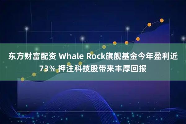 东方财富配资 Whale Rock旗舰基金今年盈利近73% 押注科技股带来丰厚回报